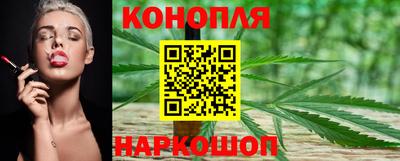 стафф Белореченск
