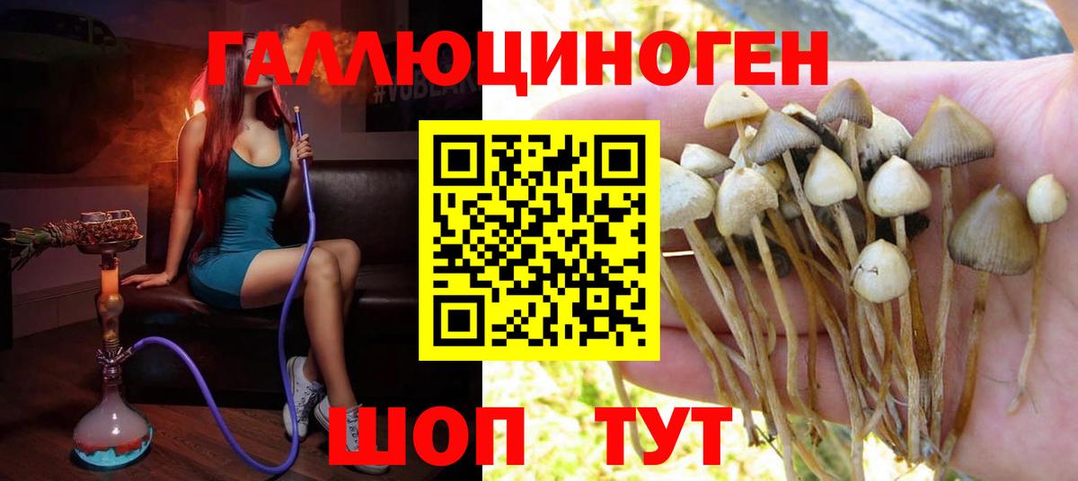 Иваново  Галлюциногенные грибы мицелий  Псилоцибиновые грибы Psilocybe  Вход с VPN 
